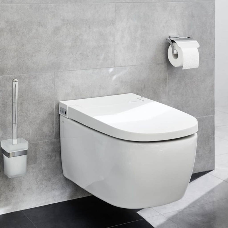 Kleine Wolke Toiletrolhouder Met Deksel Meo Zilverkleurig Naturel