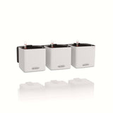 Lechuza Plantenbakken Green Wall Home Kit