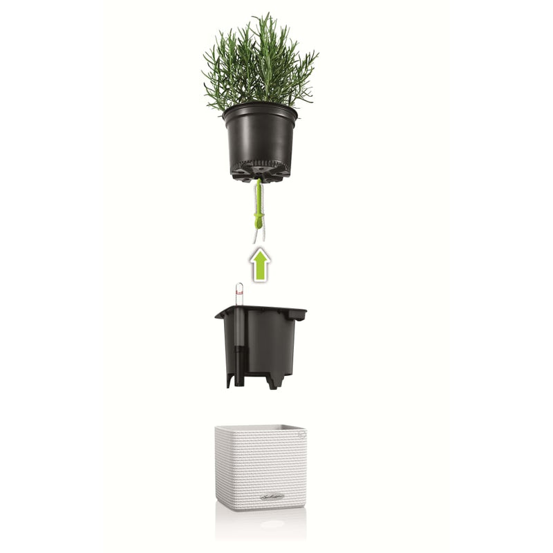 Lechuza Plantenbakken Green Wall Home Kit