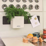 Lechuza Plantenbakken Green Wall Home Kit