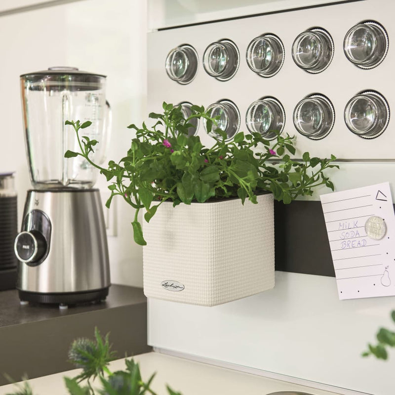 Lechuza Plantenbakken Green Wall Home Kit