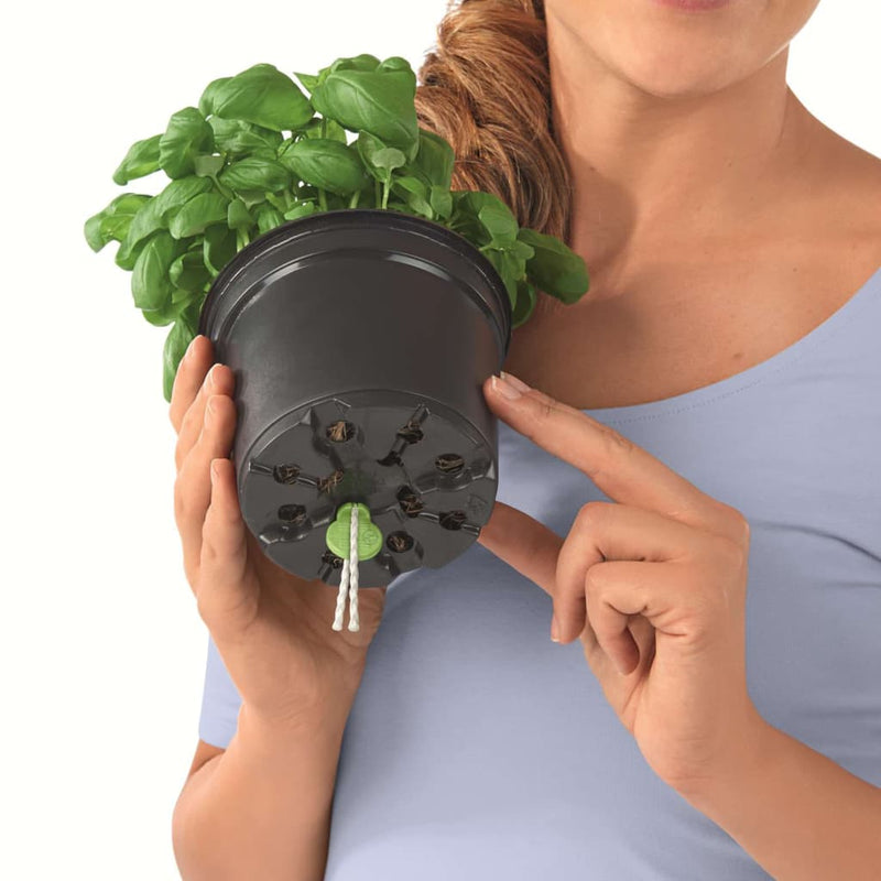 Lechuza Plantenbakken Green Wall Home Kit