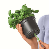 Lechuza Plantenbakken Green Wall Home Kit