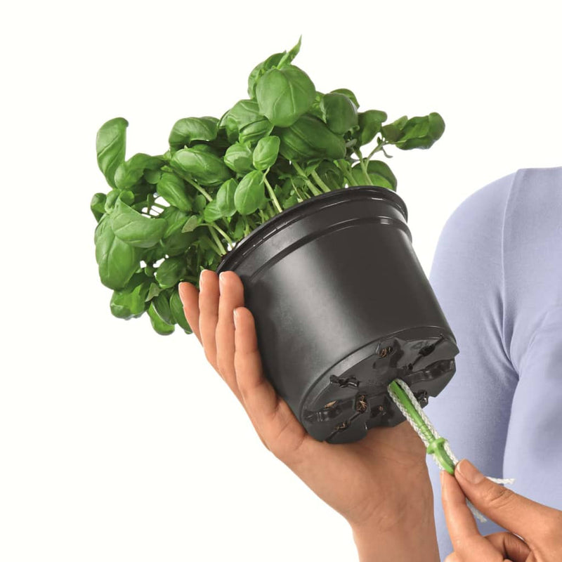 Lechuza Plantenbakken Green Wall Home Kit