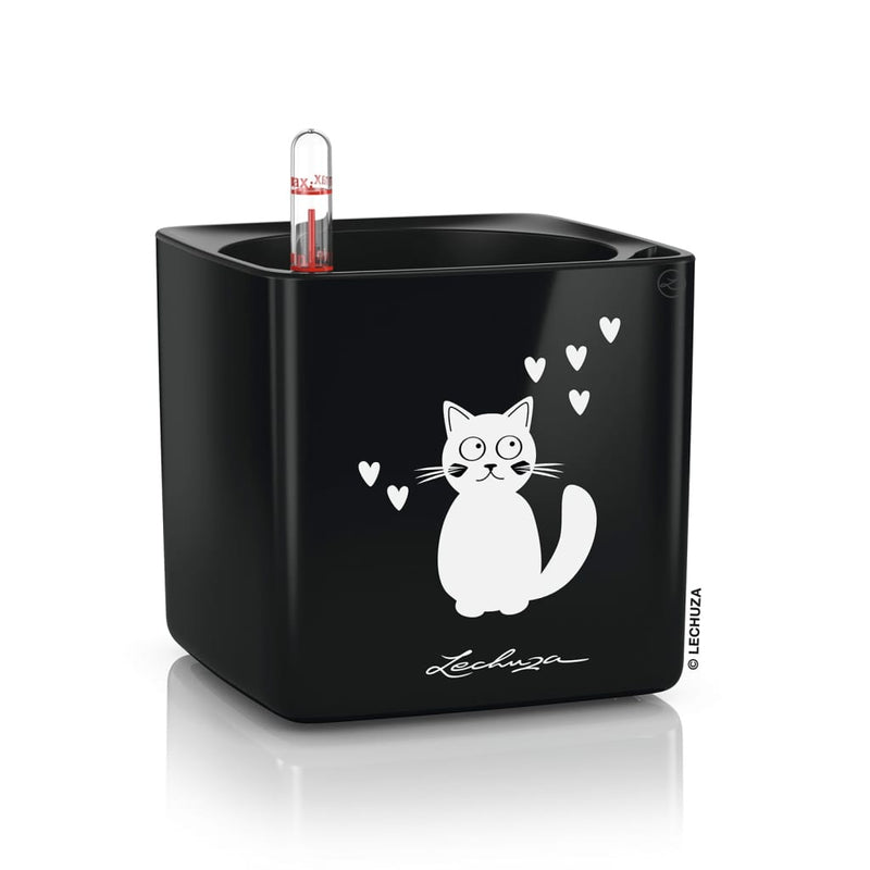 Lechuza Plantenbak Cube Glossy Cat 14 All-In-One