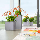 Lechuza Plantenbak Canta Stone 30 High All-In-One Steen