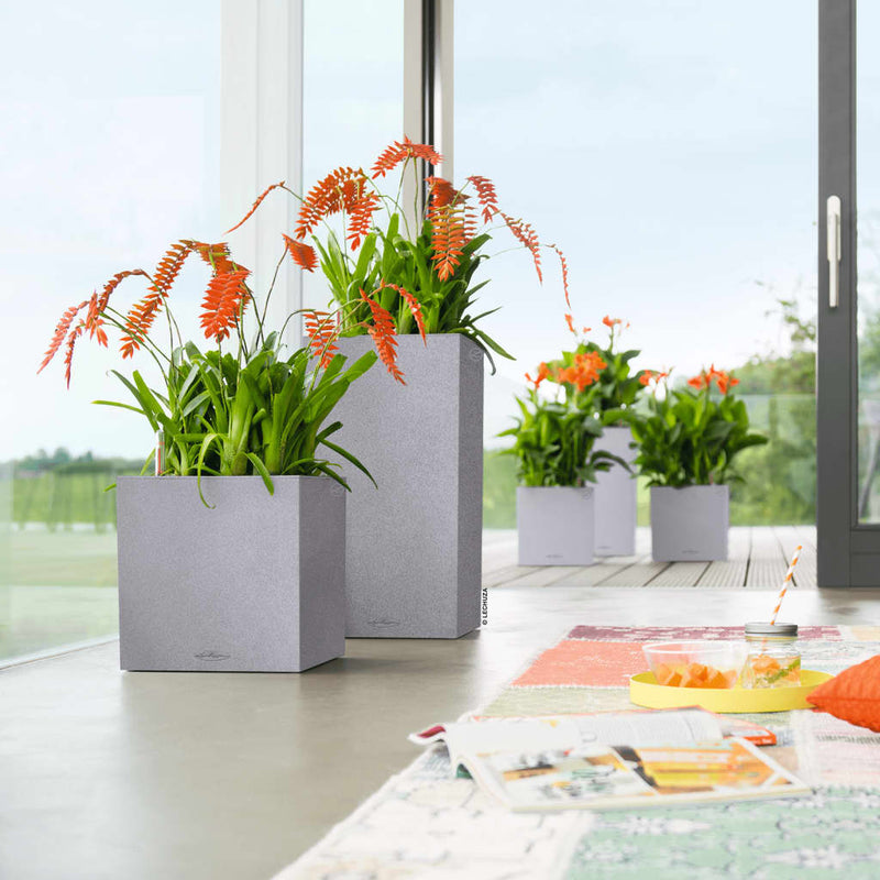 Lechuza Plantenbak Canta Stone 30 High All-In-One Steen
