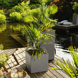 Lechuza Plantenbak Canto Stone 40 Led Low All-In-One 40X40 Cm