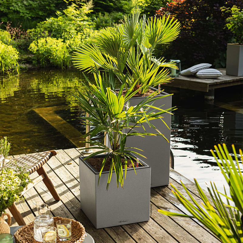 Lechuza Plantenbak Canto Stone 40 Led Low All-In-One 40X40 Cm