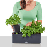 Lechuza Plantenbak Cube Color Triple Met Beugels Kleur 13684