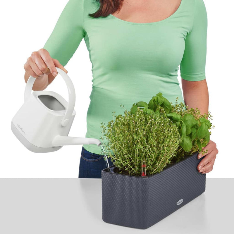 Lechuza Plantenbak Cube Color Triple Met Beugels Kleur 13684