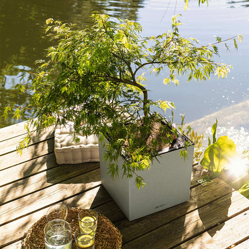 Lechuza Plantenbak Canto Stone 40 Led Low All-In-One 40X40 Cm