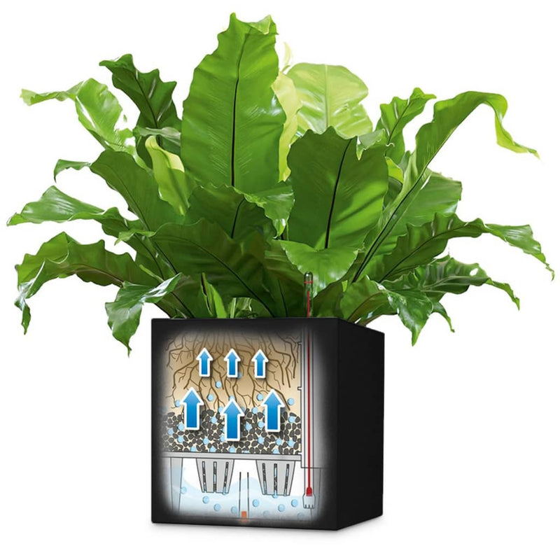 Lechuza Plantenbak Canto Color Square 40 All-In-One Grafiet 13722