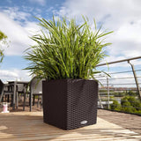 Lechuza Plantenbak Cube Cottage 40 All-In-One Kleurig