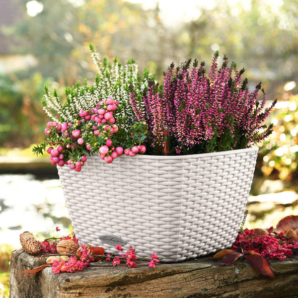 Lechuza Plantenbak Bacino Cottage All-In-One 30X30 Cm