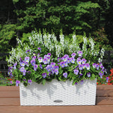 Lechuza Plantenbak Balconera Cottage 50 All-In-One