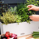 Lechuza Plantenbak Balconera Cottage 50 All-In-One