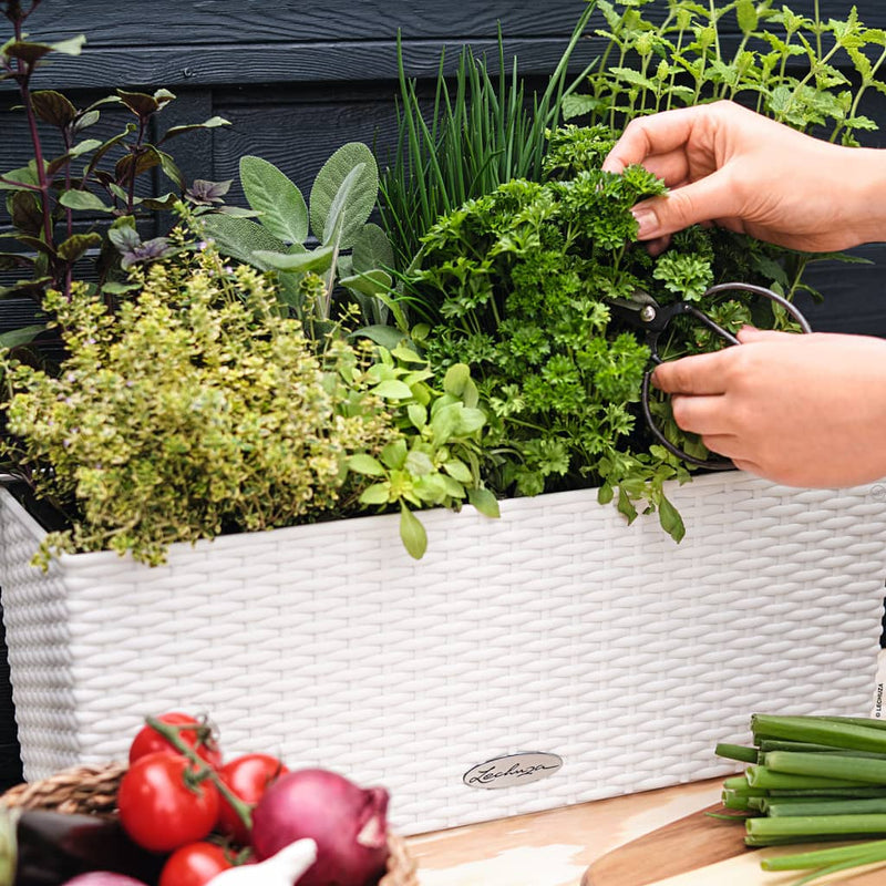 Lechuza Plantenbak Balconera Cottage 50 All-In-One