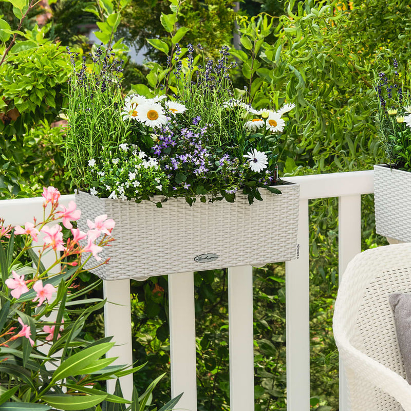 Lechuza Plantenbak Balconera Cottage 50 All-In-One