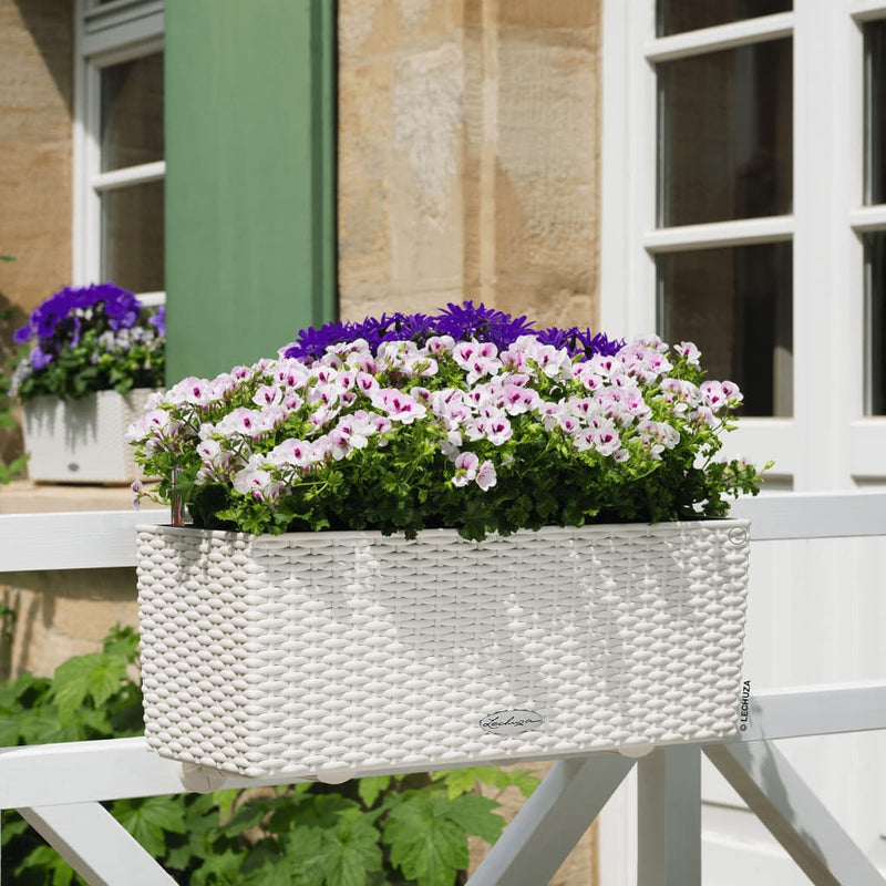 Lechuza Plantenbak Balconera Cottage 50 All-In-One