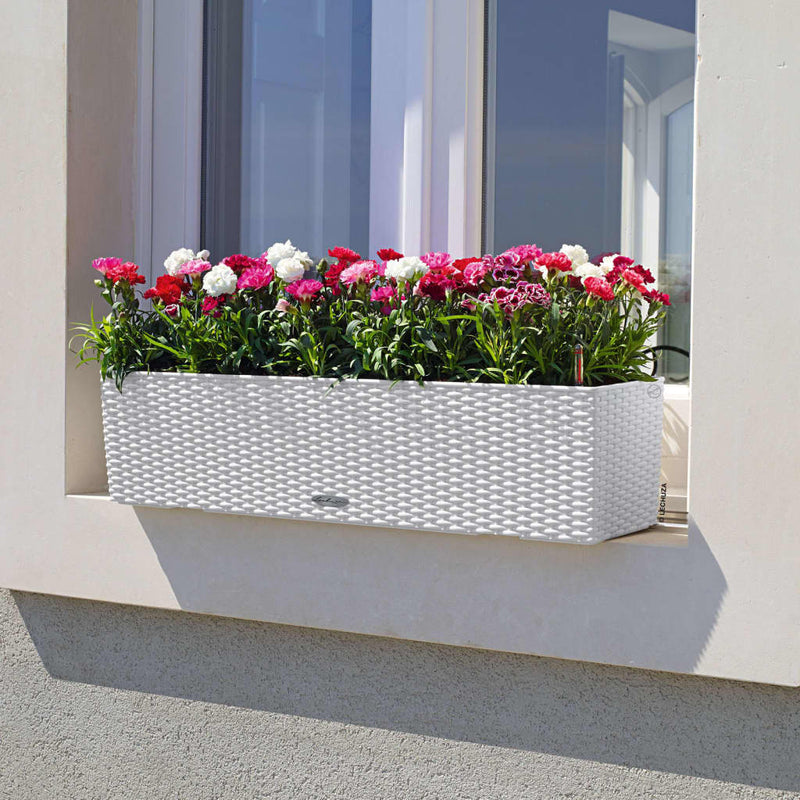 Lechuza Plantenbak Balconera Cottage 80 All-In-One