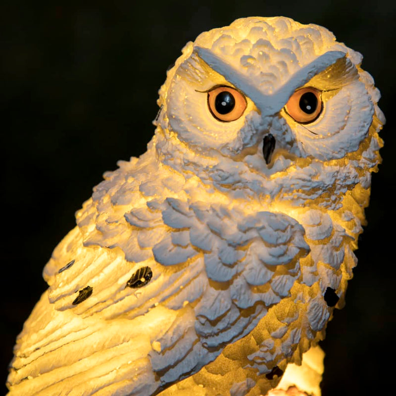 Hi Tuinlamp Uil Led Solar Wit Grijs