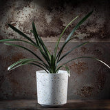 Bloempot, plantenpot van kunststof - decoratieve pot voor planten, UV-bestendige bloempot - diameter 19,5 cm - KADAX