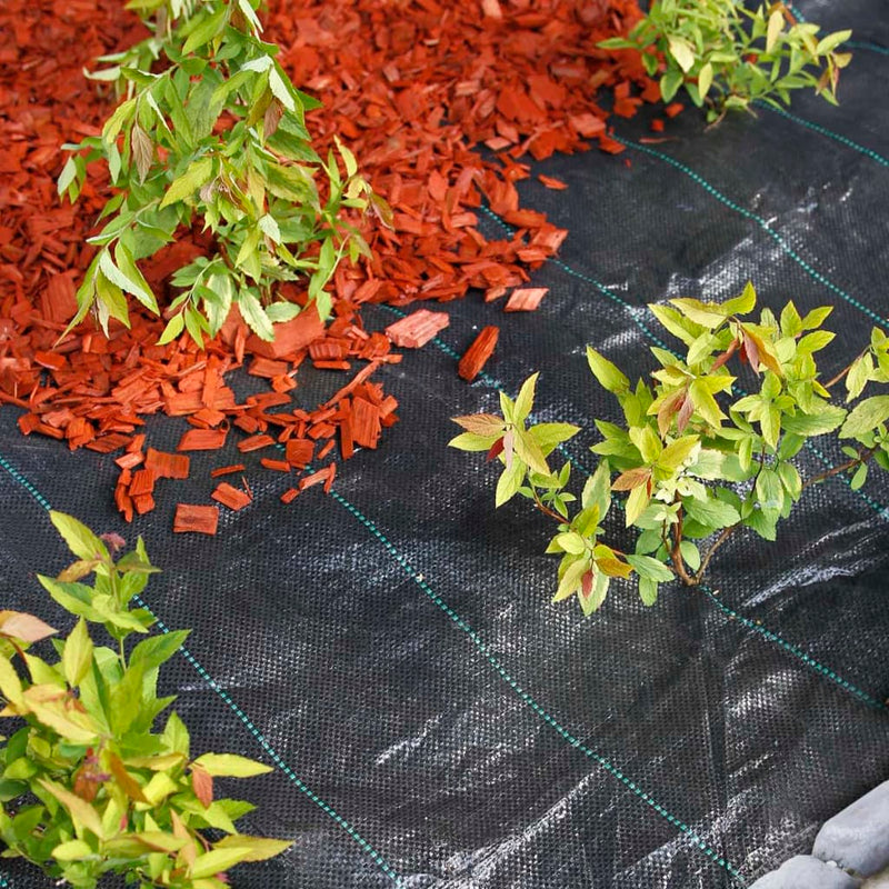 Nature Anti-Worteldoek Met Pinnen 2X5 M Zwart