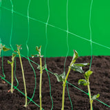 Nature Klimnet Voor Planten Groen 6030429