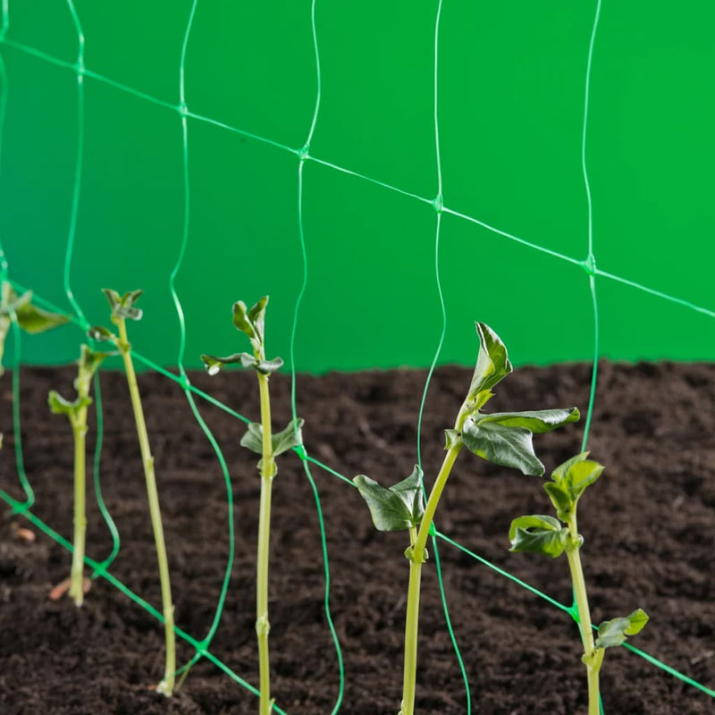 Nature Klimnet Voor Planten Groen 6030429