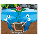 Ubbink Waterlelie Grond 10 L 1373118