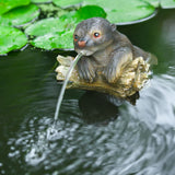 Ubbink Tuinfontein Drijvend Otter