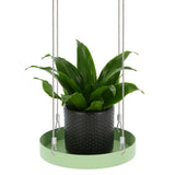 Echert Deign Plantenblad Hangend