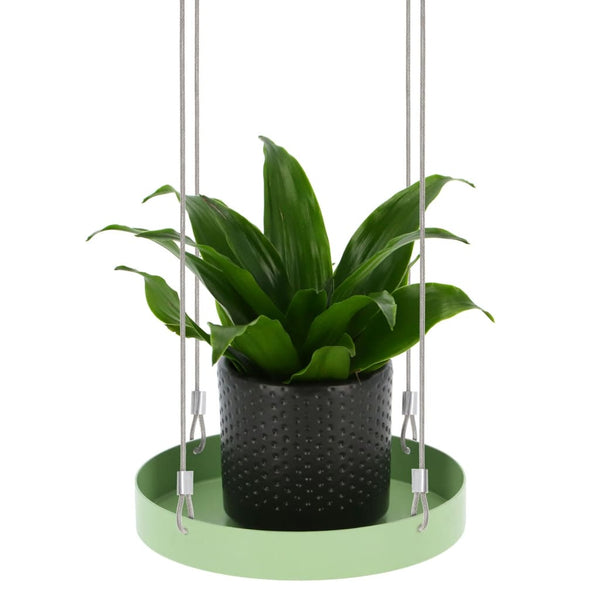 Echert Deign Plantenblad Hangend