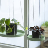 Echert Deign Plantenblad Hangend