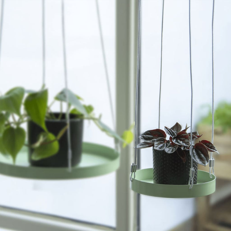 Echert Deign Plantenblad Hangend