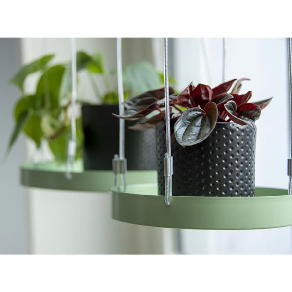Echert Deign Plantenblad Hangend