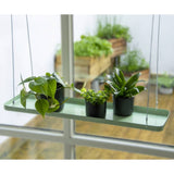 Echert Deign Plantenblad Hangend