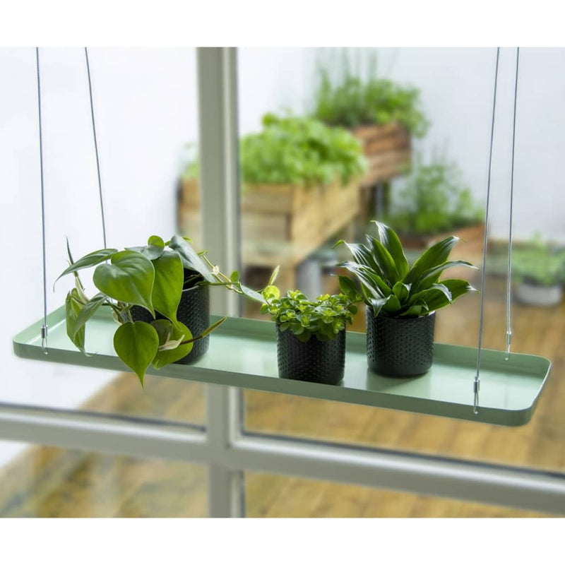 Echert Deign Plantenblad Hangend