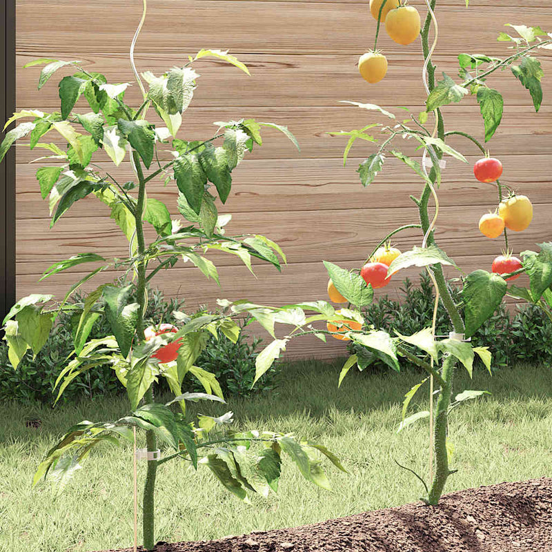 Plantenstok Spiraal 50 St