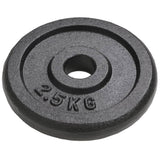 Halterschijven 8 St 8X2,5 Kg Gietijzer