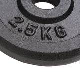 Halterschijven 8 St 8X2,5 Kg Gietijzer