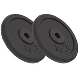 Halterschijven 8 St 8X2,5 Kg Gietijzer