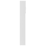 Wasmachinekast 64X25,5X190 Cm Bewerkt Hout