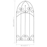 Plantenklimrekken 40X100 Cm Ijzer Zwart