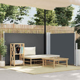 Windscherm Uittrekbaar 100X600 Cm Antraciet