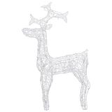 Kerstdecoratie Rendieren 90 Led's Acryl Koudwit