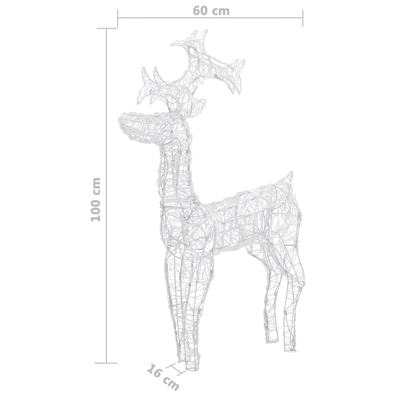 Kerstdecoratie Rendieren 90 Led's Acryl Koudwit
