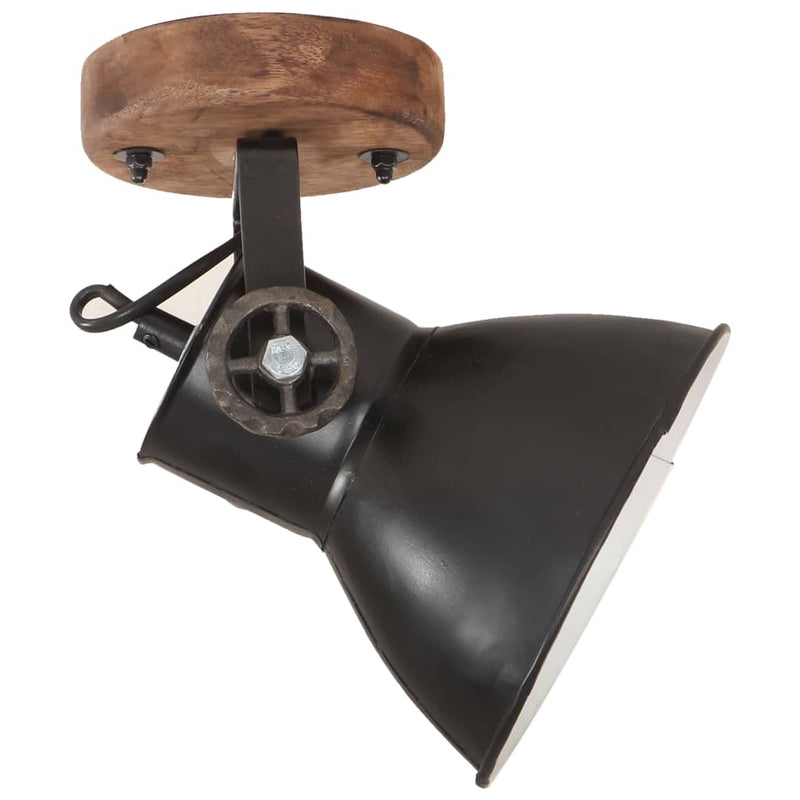 Wand-/Plafondlampen Industrieel 2 St E27 20X25 Cm