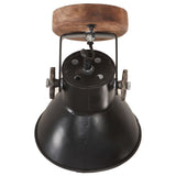 Wand-/Plafondlampen Industrieel 2 St E27 20X25 Cm